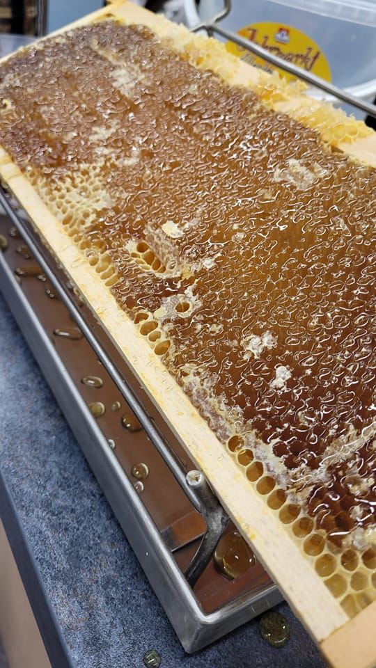 Entdeckelte%20Honigwaben